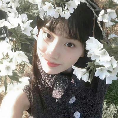 象牙山的好人们
